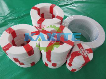 Expanded PTFE Gasket